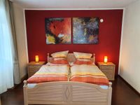 Ferienhaus am Donauspitz - Schlafzimmer mit Doppelbett, TV und Kleiderschrank